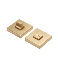 Фиксатор сантехнический WC ZN BB (матовое золото)