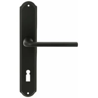 Extreza TERNI (Терни) 320 на планке PL01 KEY черный F22