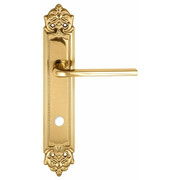 Extreza TERNI (Терни) 320 на планке PL02 WC полированная латунь F01